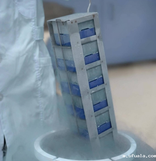 冻存架与冻存管