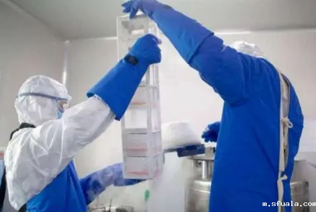 正在使用液氮罐