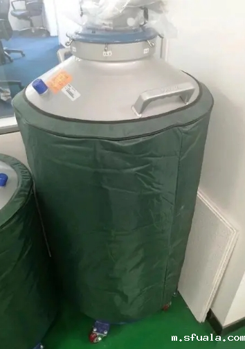 东亚液氮罐