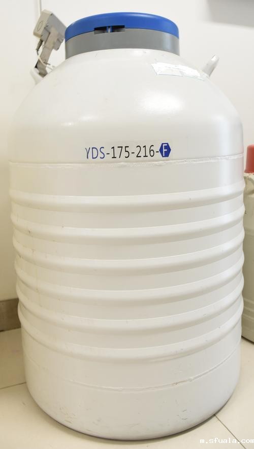 YDS-175-216液氮罐